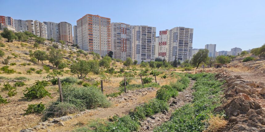 Yalım Mahallesi’nde Yılların Sorunu Çözüldü