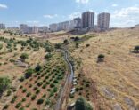 MARSU, Bir Dereyi Daha Yer Altına Alıyor; Tarım Arazileri Korunuyor